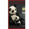 Panda thumbnail-1