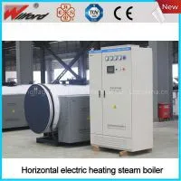 WDR Horizontal Electric Heating Steam Boiler thumbnail-3