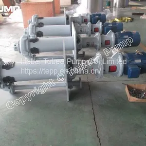 Tobee SP Vertical Pumps thumbnail-1