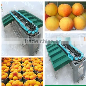 Sorter Type Onion Sorting Machine thumbnail-1