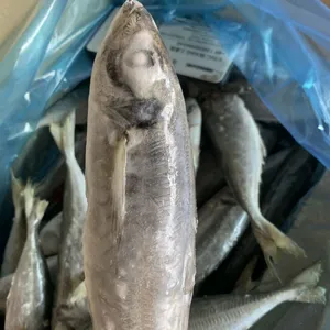 Horse Mackerel 100-200/trachurus Japonicus/mackerel Trachurus Japonicus thumbnail-2