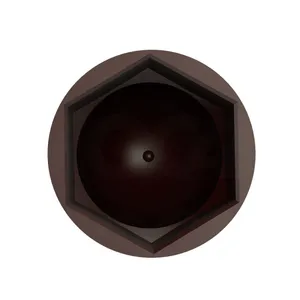 1/4 5/16 3/8 7/16 1/2 9/16 5/8 3/4 7/8 1 Plastic Cap Hex Bolt Screw Nut Acorn Domed Plastic End Cap thumbnail-5