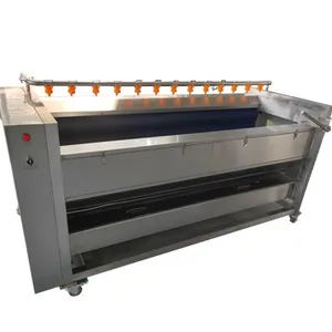 Easy Operation Automatic Continuous Spraying Sterilizer Machine thumbnail-1