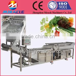 Air Bubble Vegetable Cleaning Machine/salted Vegetables/fruits Washing Machine for Sale thumbnail-1