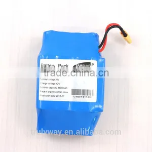 Smart Balance Wheel Samsung Battery Li-ion Rechargeable Scooter Battery Pack thumbnail-4