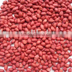 Supply Red Skin Peanut thumbnail-1