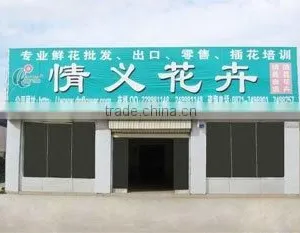 Kunming Qingyi Flower Gardening Co., Ltd. company overview - view 2 thumbnail