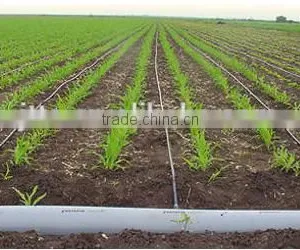 Drip Irrigation Pipe thumbnail-2