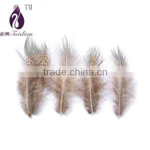 Raw Pheasant Feathers Plume for Jewelry Accesory Craft thumbnail-1