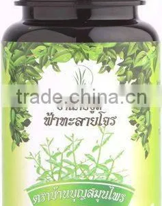 Competitive Price Andrographis Thai Herb Medicine thumbnail-1