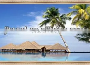 Nano Carbon Heater & Infrared Heater & Carbon Fiber Heater thumbnail-1