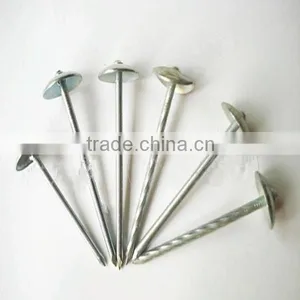 EG Roofing Nails thumbnail-1
