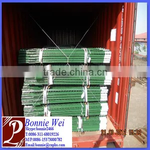 Green Painted Iron T Post thumbnail-1