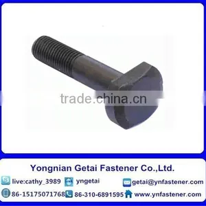 T Shape Bolts for Slot, DIN933/931 H.D.G / Galvanized With Black /yellow Zinc Plated/blue White thumbnail-6