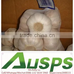 China Farm Fresh Garlic thumbnail-3