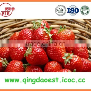 New Crop Best Quality Fresh Whole Strawberry thumbnail-2
