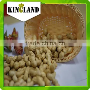 Peanut in Shell Processing thumbnail-4
