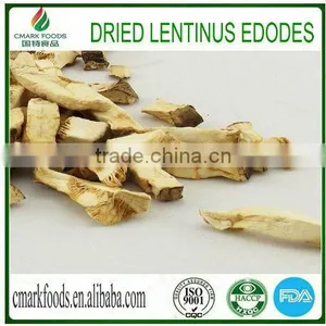 Spray Dried Shiitake Lentinus Edodes thumbnail-1