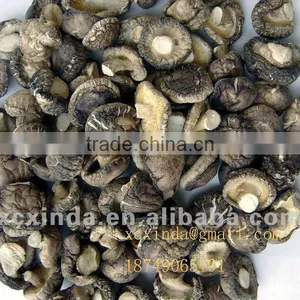 Dried Thick Mushrooms thumbnail-1