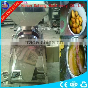 Commercial Carrot Juicer Machine Fruit and Vegetable Press Juicer thumbnail-2