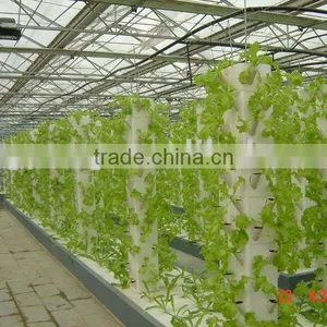 Glass Greenhouse for Agricultural (ISO9001:2000) thumbnail-1