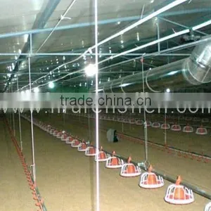 125x21x2.5m Light Steel Structure Chicken House in Middle East thumbnail-3