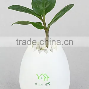 Fashion Eggshell Flower Pot thumbnail-1