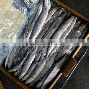Frozen Seafood Frozen Pacific Saury thumbnail-1