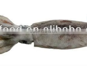 Very Cheap Squid Todarodes Pacificus Seafood thumbnail-1