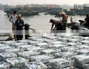 Zhejiang Zhoushan Jiaze Aquatic Co., Ltd. company overview - view 2 thumbnail