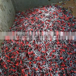 Color Painted Galvanized Roofing Nails thumbnail-2