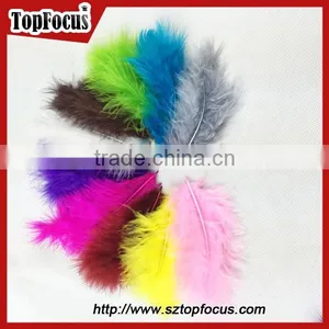 Wholesale Natural Decorative Dyed Down Turkey Feather for Sale thumbnail-1