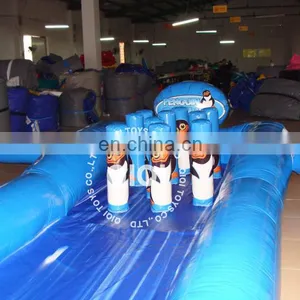 Bowling Equipment Inflatable Bowling Games Bowling Lanes Price thumbnail-5
