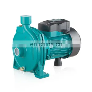 High Head Household Garden Pump Centrifugal Clean Water Pump thumbnail-1