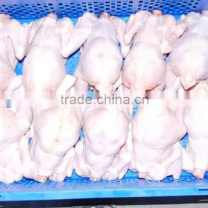 Chicken Griller thumbnail-4