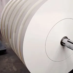 Food Grade Paper Bottom Roll thumbnail-1