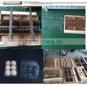 Automatic Vaccum Forming Machine, Vacuum Thermoforming Machine For Sale thumbnail-2