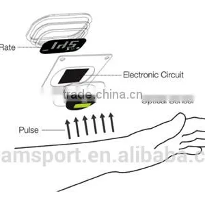 Bluetooth Smart Watch Heart Rate Monitor for Android and IOS thumbnail-3