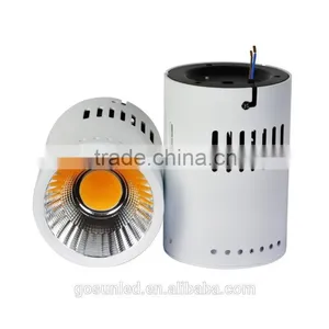 Hot Selling 30W Surface Mounted LED Downlight With CE/RoHS/SASO/SAA/GS Certificate thumbnail-2
