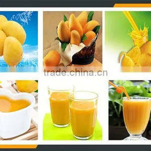 Leader 5-8t/h Low Power Consumption Mango Barking and Juicing Machine thumbnail-6