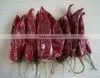 Hot Sale Dry American Red Chilli thumbnail-1