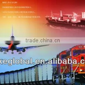 LCL/FCL Logistic Agent ,freight Forwarder Shenzhen/guangzhou to Aalst -----Anne thumbnail-1