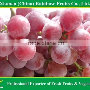 Global Grpaes/fresh Grapes Price thumbnail-3