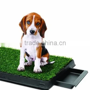 2016 Pet Potty thumbnail-3