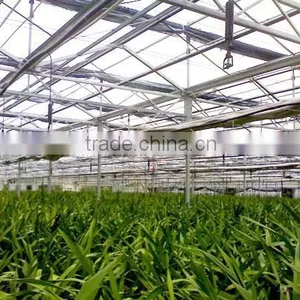 Agricultural Greenhouse Sprinkling Irrigation thumbnail-1