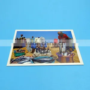 Hot Sale High Quality and Popular Card Printing Factory thumbnail-4