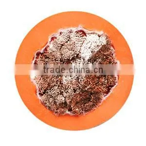 50mm2 Copper Clad Aluminium Welding Cable thumbnail-1
