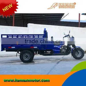 2014 Hot Powerful 250cc Cargo Tricycle thumbnail-5