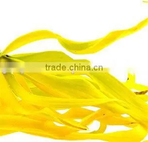 Ylang-Ylang Essential Oil On Best Price From Borg Export India 100% Natural thumbnail-3