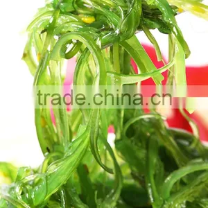 HALAL Frozen Seasoned Seaweed Salad thumbnail-6